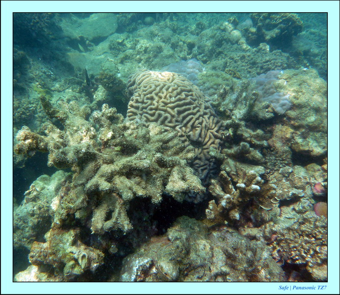 2011 - 03 - Koh Ngai 111